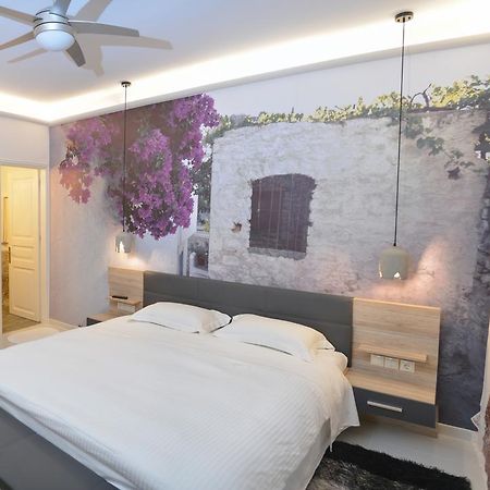Paradiso هيدرا المظهر الخارجي الصورة