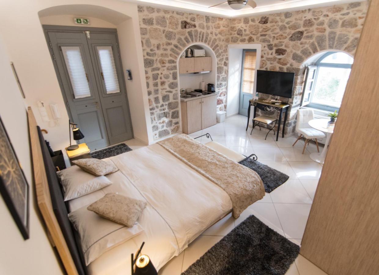 Paradiso هيدرا المظهر الخارجي الصورة
