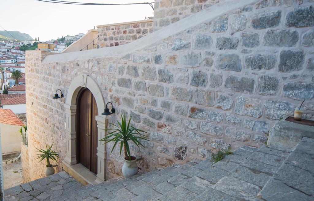Paradiso هيدرا المظهر الخارجي الصورة