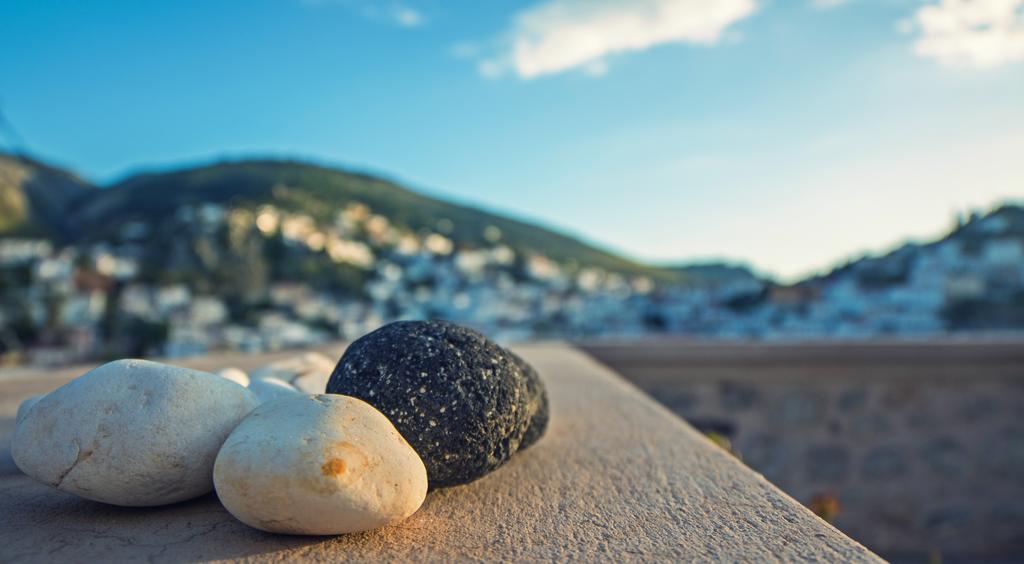 Paradiso هيدرا المظهر الخارجي الصورة