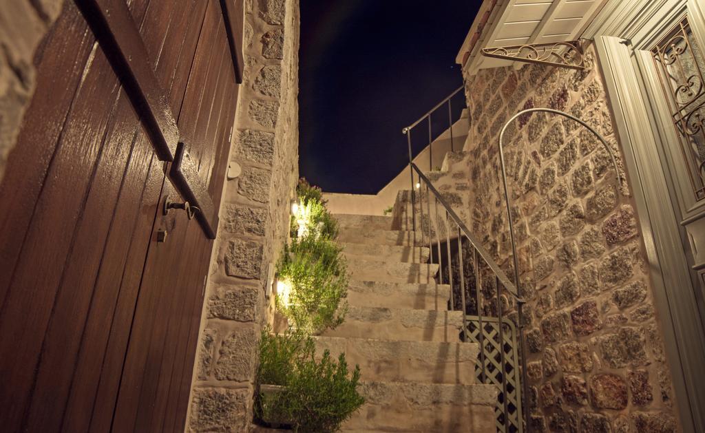 Paradiso هيدرا المظهر الخارجي الصورة